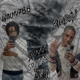 Spinnn (feat. Waun788) BigDav
