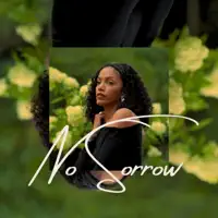 No Sorrow — Sstedi