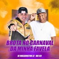 Brota no Carnaval da Minha Favela (feat. MC K9) - Single - DJ Washington Zz