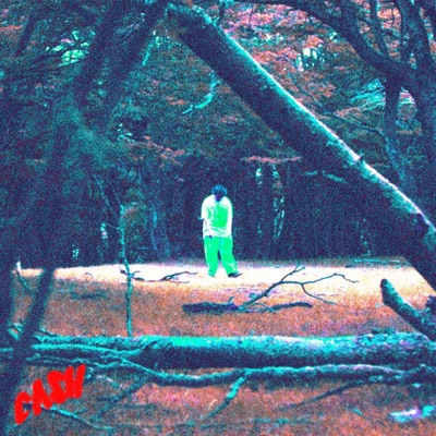 Cash - Single