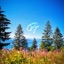 Eternal - Single