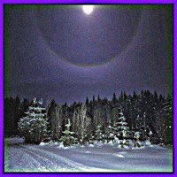 jump into the sky - Single - home4circus & MXNERA