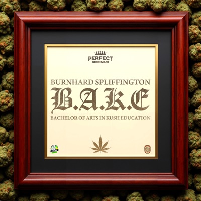 Burnhard Spliffington (B.A.K.E) Bachelor Of Arts In Kush Education