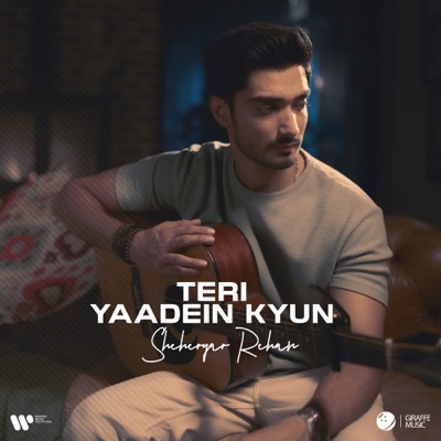 Teri Yaadein Kyun - Single