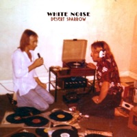 Desert Sparrow Ablum Cover