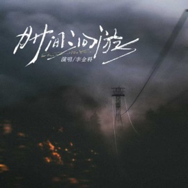 时间洄游 李金科