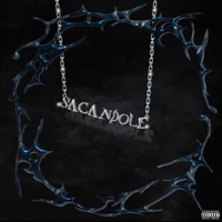 Sacandole (feat. ANDRVGZZ, John Caro & Jessiel bby) - Single - Larousse, LOZ ANGELEZ & Jeey Milán