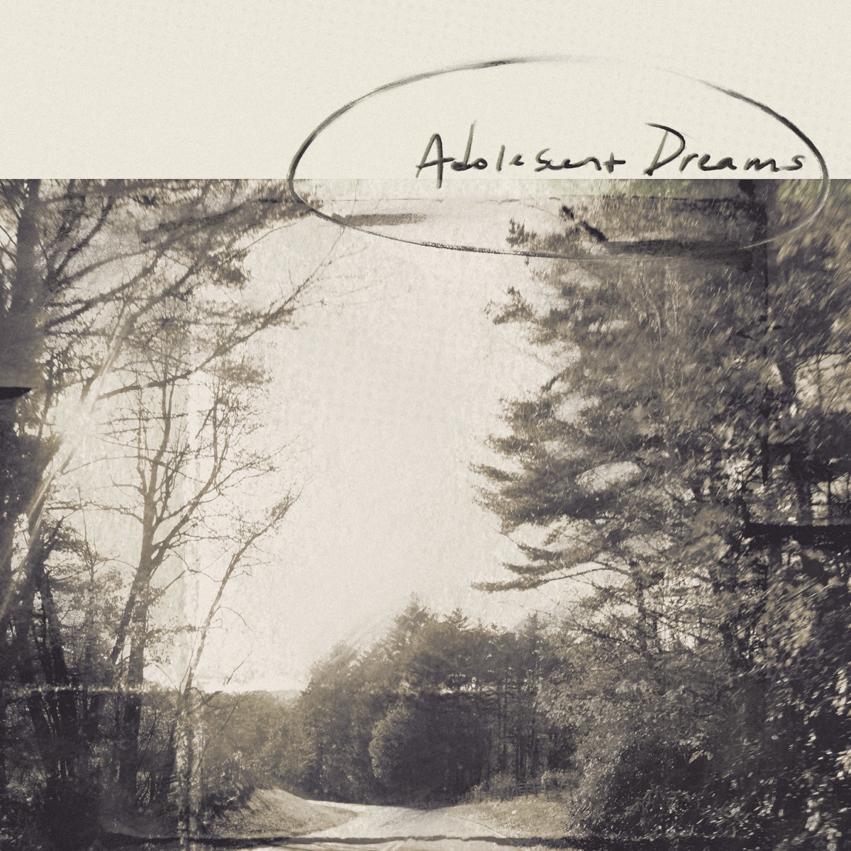 adolescent dreams - adolescent dreams (2025) [iTunes Plus AAC M4A]-新房子