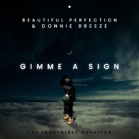 Gimme A Sign (feat. Donnie Breeze) - Single - Beautiful Perfection