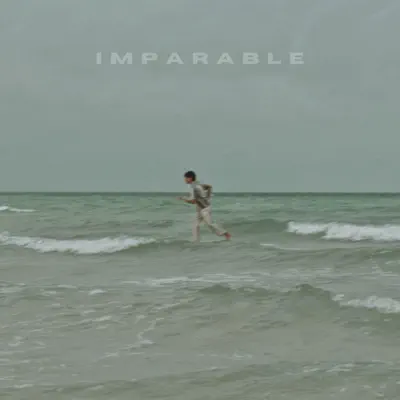 Poslechněte si IMPARABLE - Single od interpreta Leandro Bonfiglio