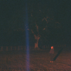 Katherine Priddy - Secrets Still Remain artwork