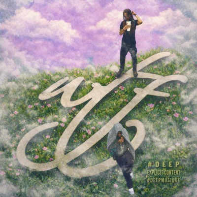 WTF...? (feat. racksman888) - Single