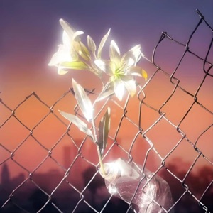 SAFEHOUSE (feat. TAKEDA)