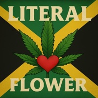 Literal Flower (feat. MacdaddyTai) - Single - Icemannosleep