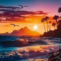 Calm Winds - Single - Calypso