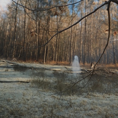 ghost in my skin (feat. Lil Kodaa) - Single