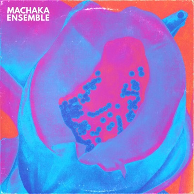 Machaka Ensemble (feat. Machaka Ensemble) - Single