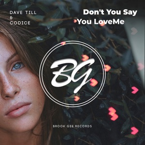 Don't You Say You Love Me - Single