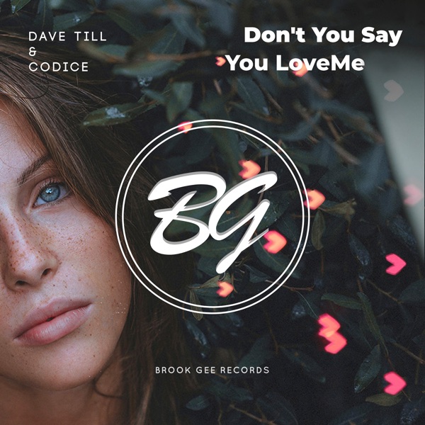 Don't You Say You Love Me - Single