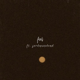 FEEL (feat. jordanisdead) kaonashi