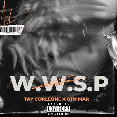 WWSP (feat. GTN Mar) - Single