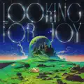 LOOKING FOR JOY