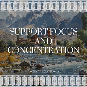 Support Focus and Concentration