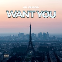 Want You - Single - AK Chaba