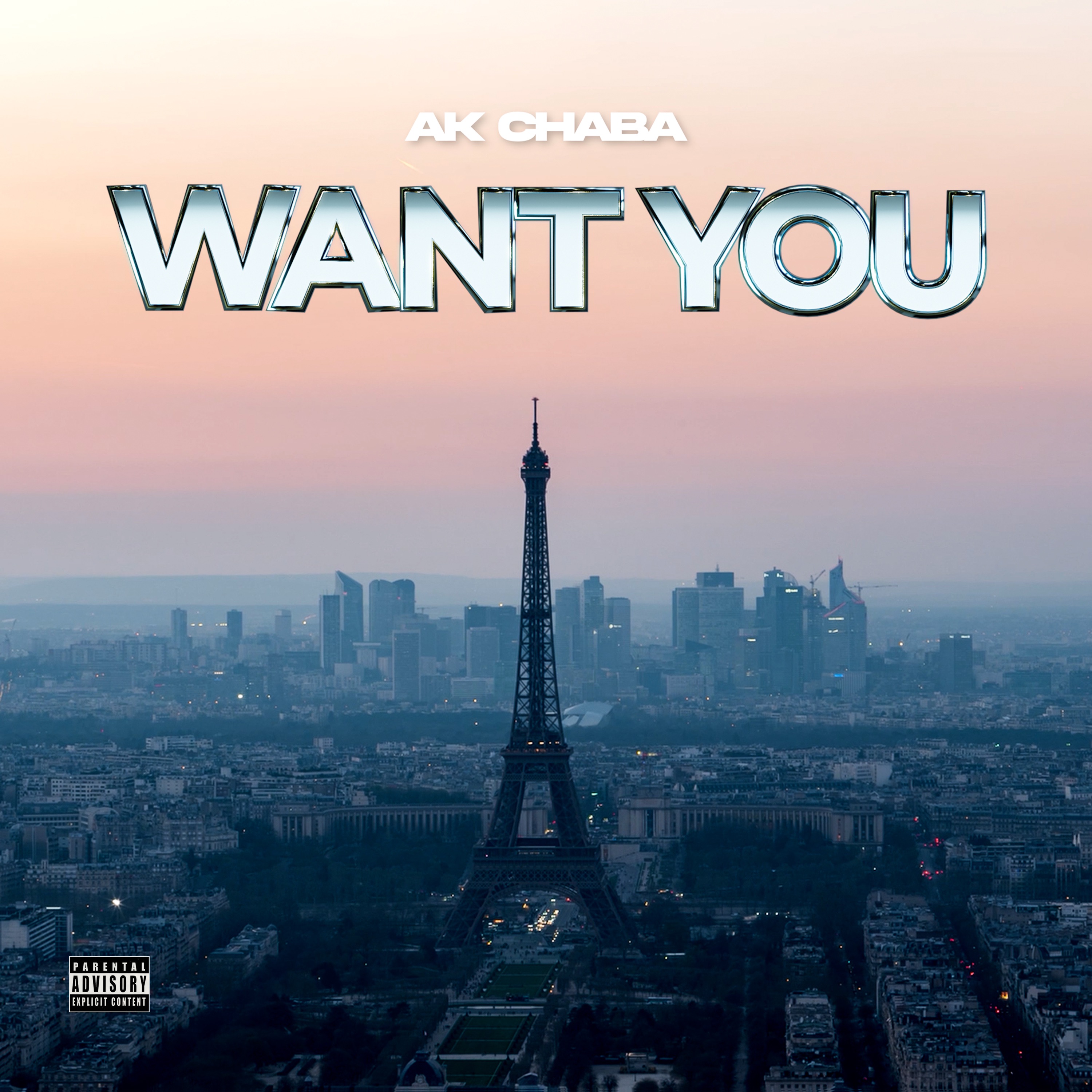 Want You - Single