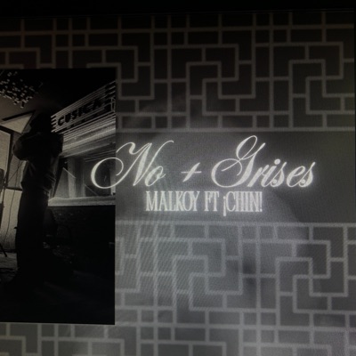 No + Grises (feat. ¡Chin!) - Single