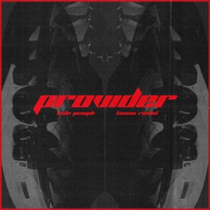 Provider - Single