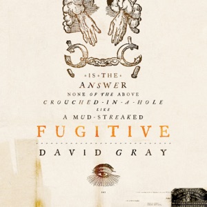 Fugitive - Single