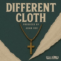 Different Cloth - Single - BJ Suter