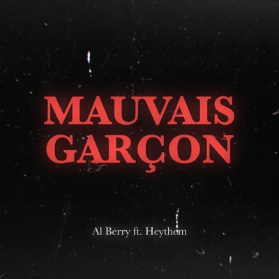 Vivement Dimanche : Mauvais Garçon (feat. Heythem) - Single