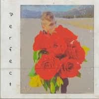 Perfect - Single - Thallmp3