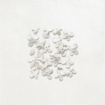 Phoolon ka Bagicha - Single