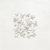 Phoolon ka Bagicha - Single - HusReason & Devoniàn