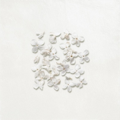 Phoolon ka Bagicha - Single