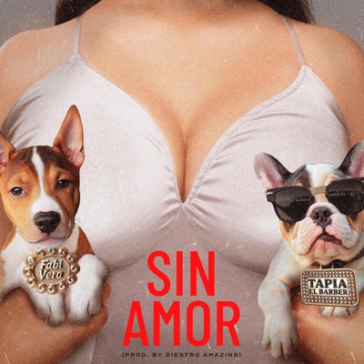Sin Amor (feat. Tapia El Barber) - Single
