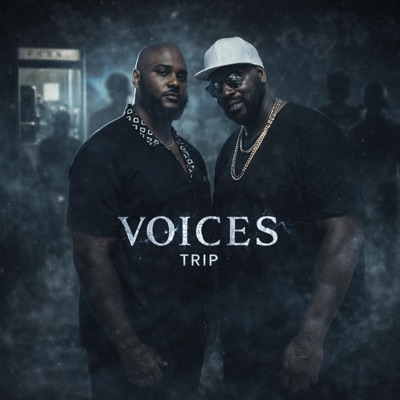 Voices - Single
