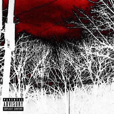 Live From The Swamp Circus