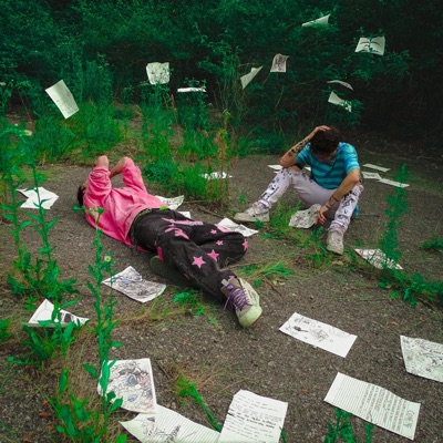 pagine di diario - Single