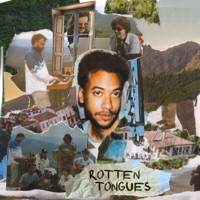 Rotten Tongues (feat. Uevo) - Single - Thierry Ganz, Superfuse & Cézanne