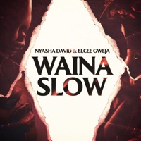 Waina slow (feat. Elcee Gweja) - Single - Nyasha David
