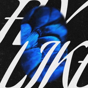 Fly Like (Extended Version) - Single