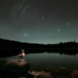 without moving - Single