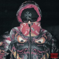 International Gangster - Capital T