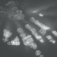 Deterministic - Single - Fionnlagh & Jupi/ter