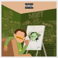 Young Shiner - Single - Shiny