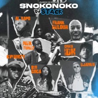 Album cover for SNOKONOKO - Nektunez Mix by Al Xapo, Benzoo & Nektunez
